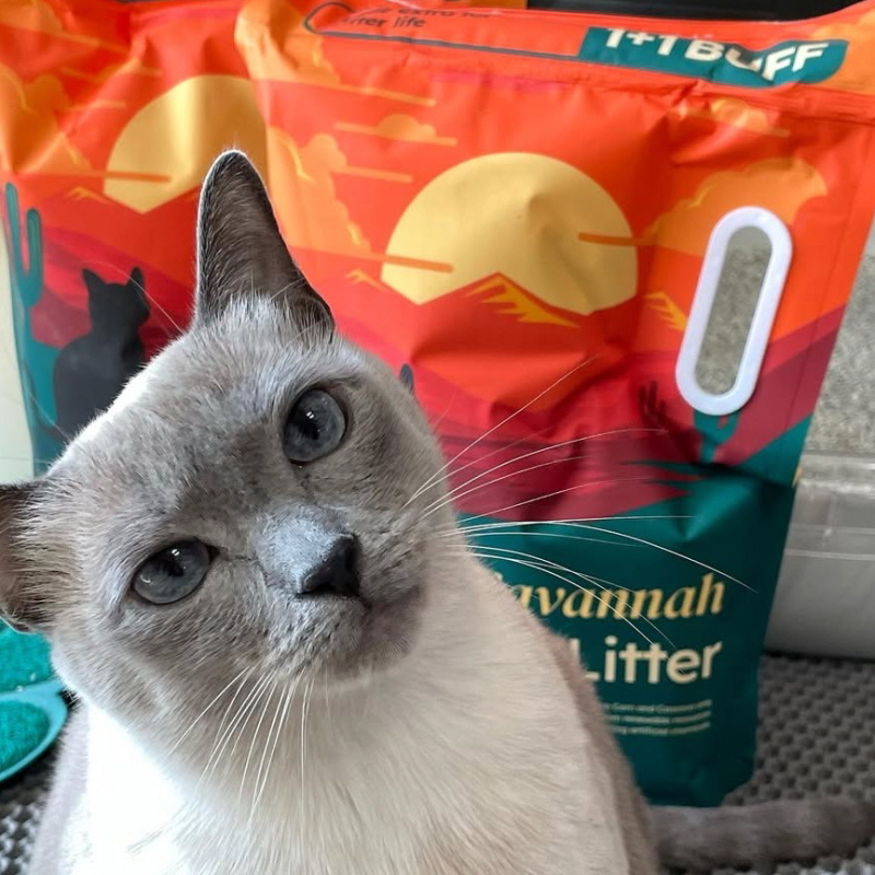 2+1 사바나 프리미엄 카사바 고양이 모래 탈취제 세트 3kg