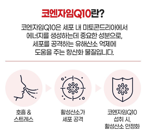내츄럴플러스 코앤자임q10 코엔자임큐텐 플러스 항산화 혈압감소 고함량 코큐텐효능 - 상세 이미지 4