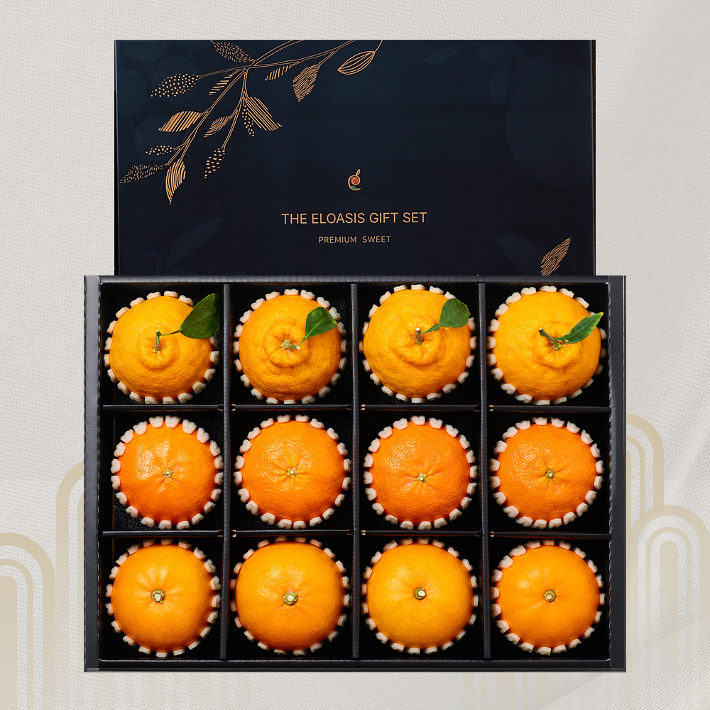 레드향 한라봉 천혜향 제주 만감류 과일 선물세트 서귀포 산지직송 4.5kg 제품 이미지