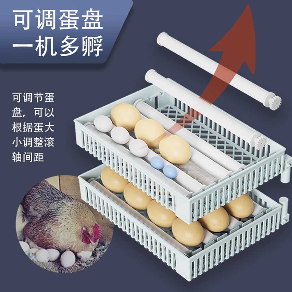 계란 부화기 자동 닭 키우기 전원 수조 공급 조류 알 24개 / 스마트 단일 전원 8개 롤러 - 상세 이미지 4