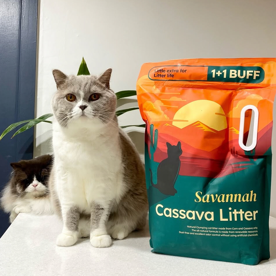 2+1 사바나 프리미엄 카사바 고양이 모래 탈취제 세트 3kg