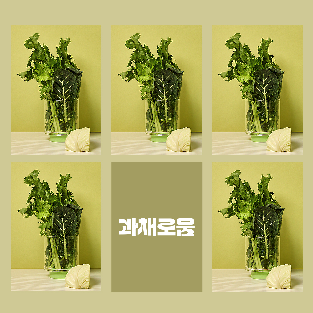 과채로움 그린라이트 주스키트 케일 셀러리 양배추 채소 100% 착즙 500g, 5개 - 상세 이미지 2