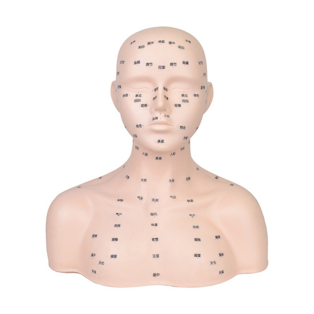 마네킹 데콜테 관리 마사지 연습용 머리 자격증 모델 모형 1 프로 어깨끈 연질 혈자리 미 그림 - 상품 이미지
