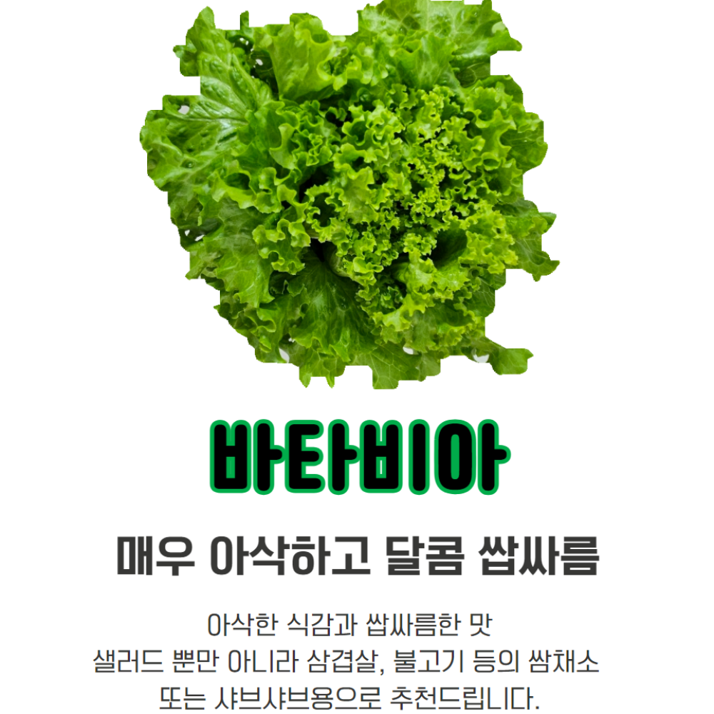 유러피안 샐러드 1kg 유럽 채소 야채 쌈 상추 로메인 이미지 7