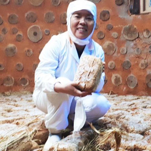 선한무농약메주 5kg, 1개 이미지 6