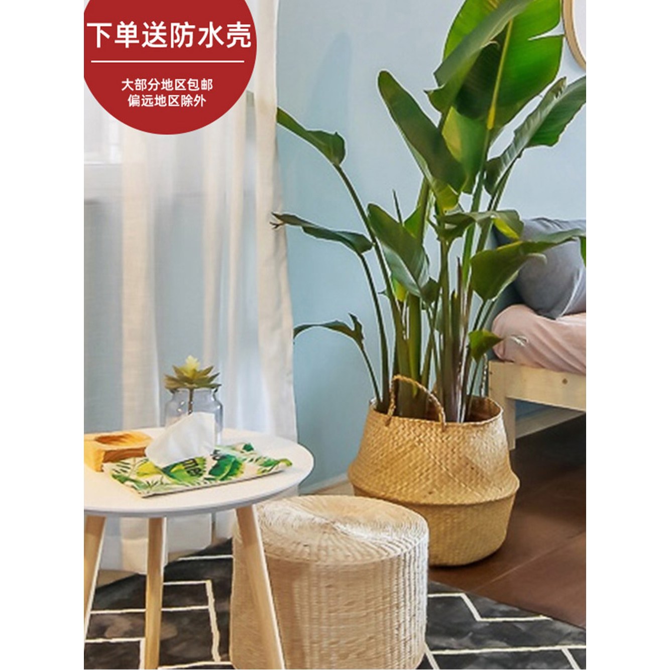 수양자스민 검정 플라스틱 도자기화분 60cm 원형 토분 대형 높은화분 A 화분 호텔 세라믹 토기 야외 - 상세 이미지 3
