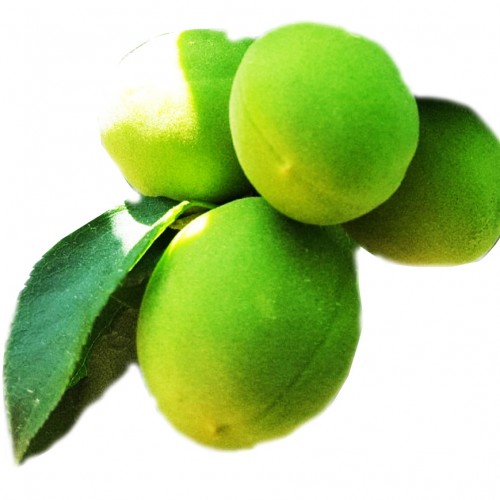 선한옹기셋트-된장1kg,고추장1kg(프리미엄) - 상세 이미지 2