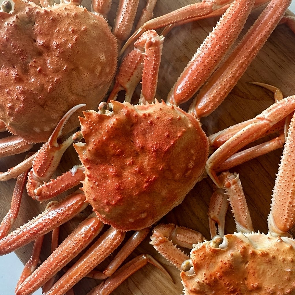 북해도 자숙대게 3.5kg 훗카이도 청정지역 속이 꽉찬 대나무대게 12-15미 - 상품 이미지