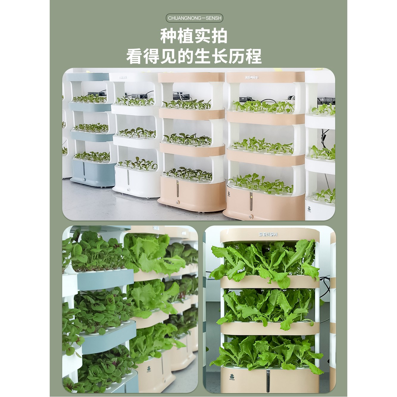 채소 블루그린 키트 스마트 야채 48홀 스마트팜 실내 수경재배 스마트팜수경재배 플랜테리어 블루그린 - 상세 이미지 2