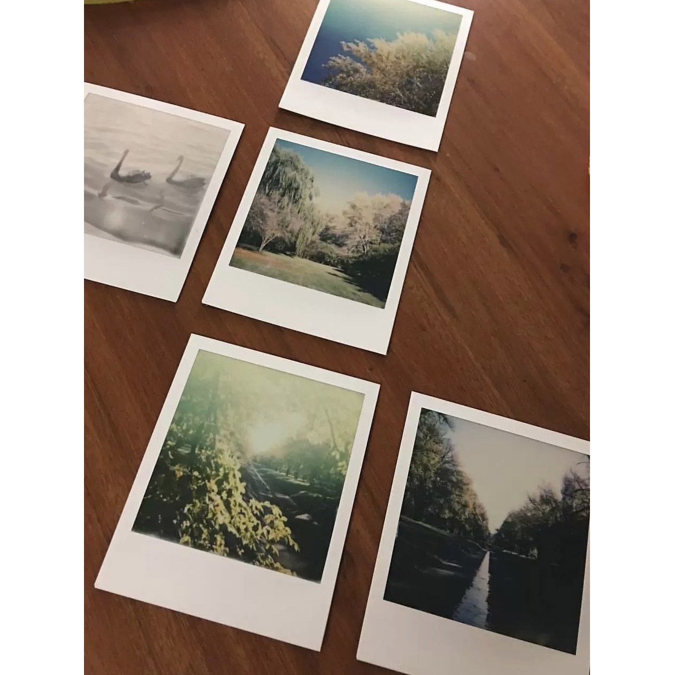 무연탄 필름 임 Polaroid Originals 1 카메라 636 즉석 폴라 600 블랙 1 폴라 636 - 상세 이미지 2