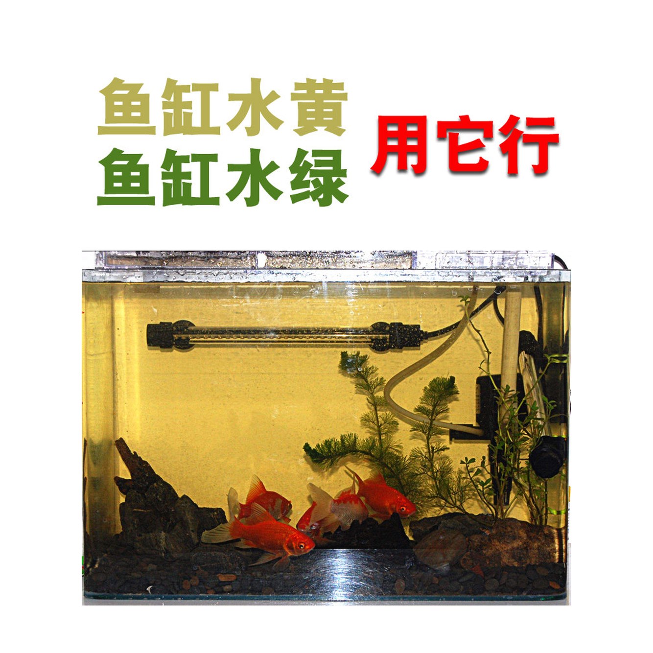 이산화탄소 25 발생기 조절식 또는 에어펌프 펌프 수족관 기공기 단 ET 기포기 발생기어항 CO2 ET 25 에어펌프 미 - 상세 이미지 2