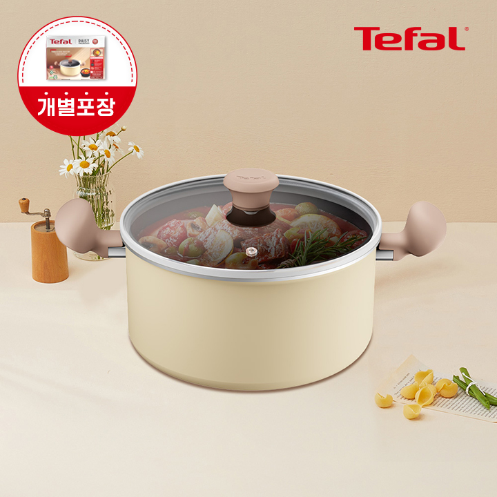 [옵션] 테팔 인덕션 티타늄 1X 데이지 양수냄비 24cm - 상품 이미지