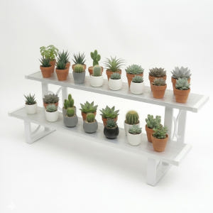 계단식 화분 진열대 다육이 선반 정리대 2단 850x240x250mm, ... 실사용 후기 | 효과 있을까? - 상품 이미지 1