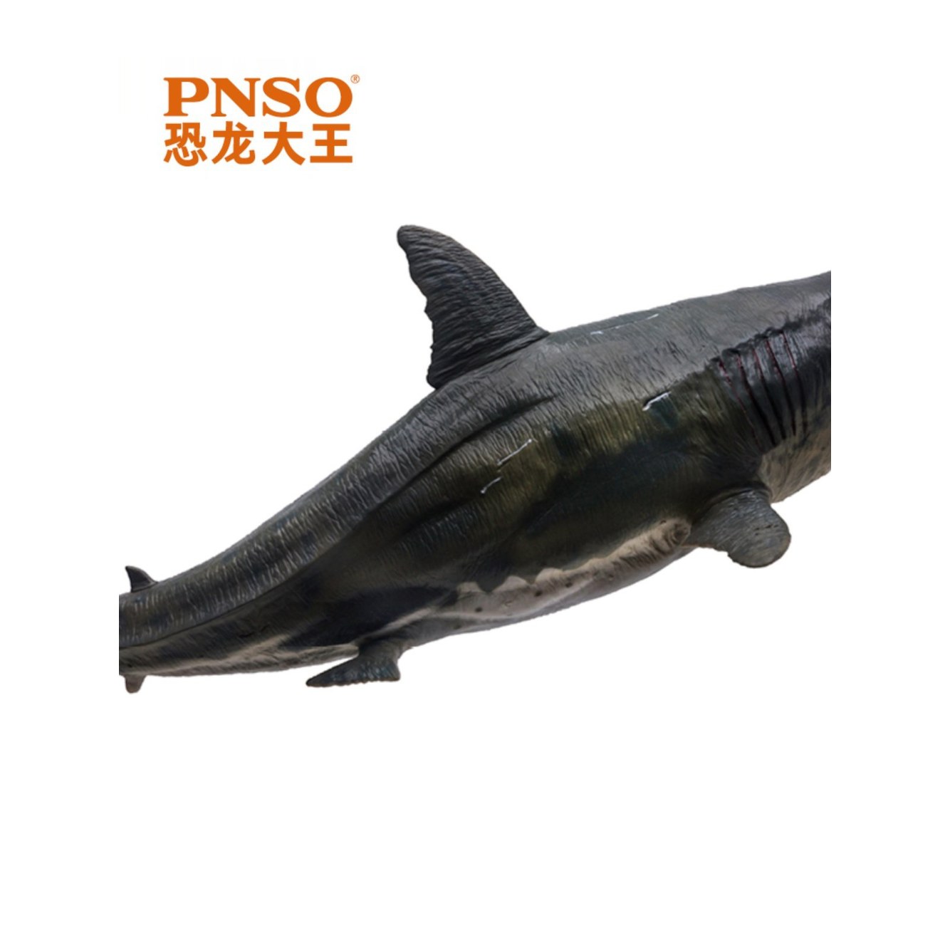 피규어 메갈로돈 51특티 Tarbosaurus 성장 공룡왕 용로사나 실내놀이 10 최강왕 10 메갈로돈 - 상품 이미지