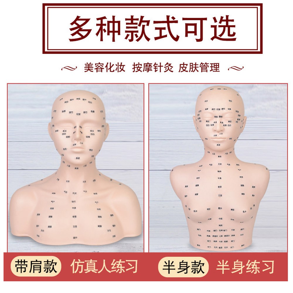 마네킹 데콜테 관리 마사지 연습용 머리 자격증 모델 모형 1 프로 어깨끈 연질 혈자리 미 그림 - 상세 이미지 2