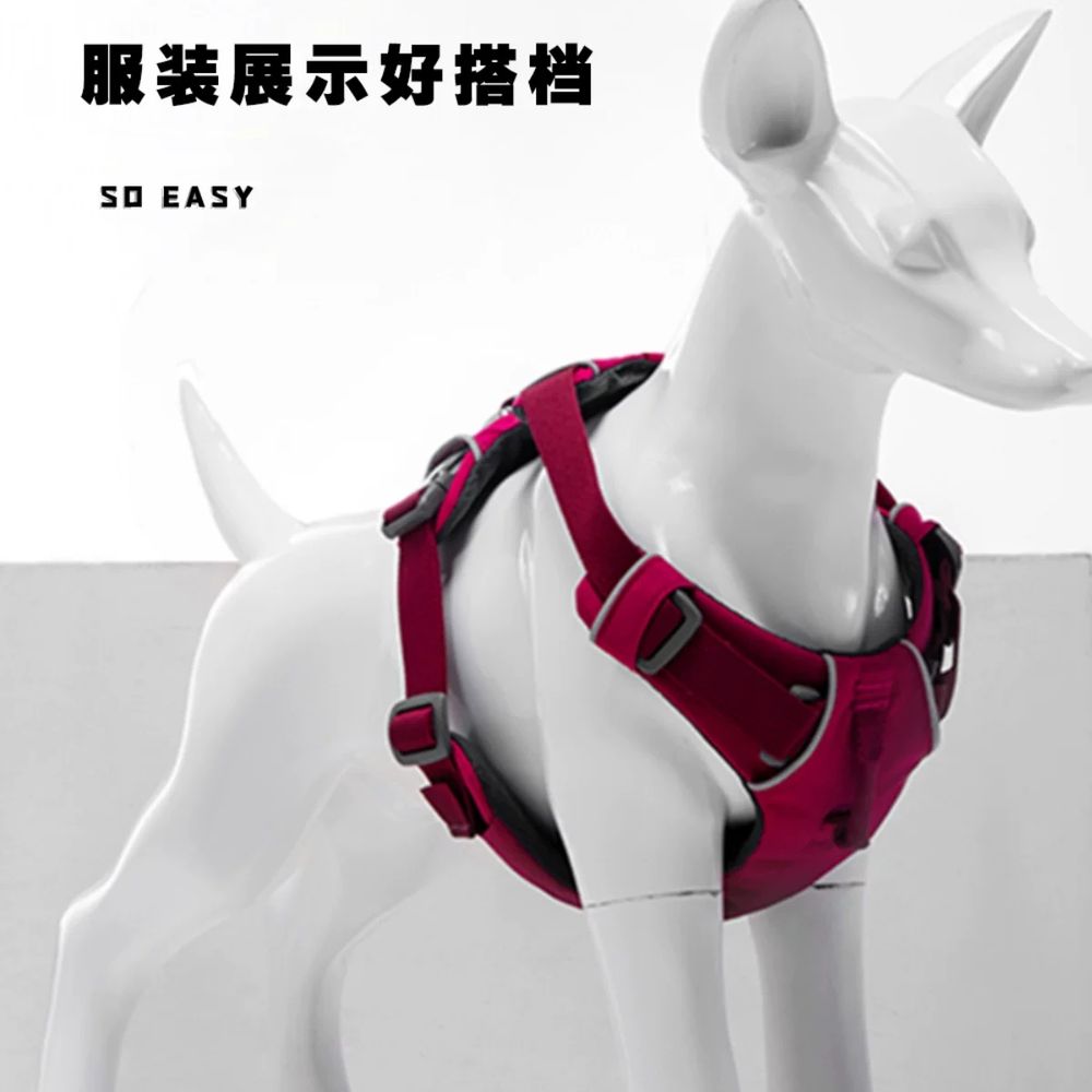 치와와 강아지마네킹인형 의류 연질마네킹 진열 - 상세 이미지 2