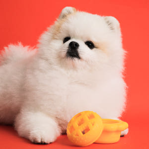 강아지 노즈워크 장난감 바잇미 킁킁파이 노즈워크 디스펜서 장난감 솔직 후기 | 실제 사용자 리뷰 총정리 - 상품 이미지 2