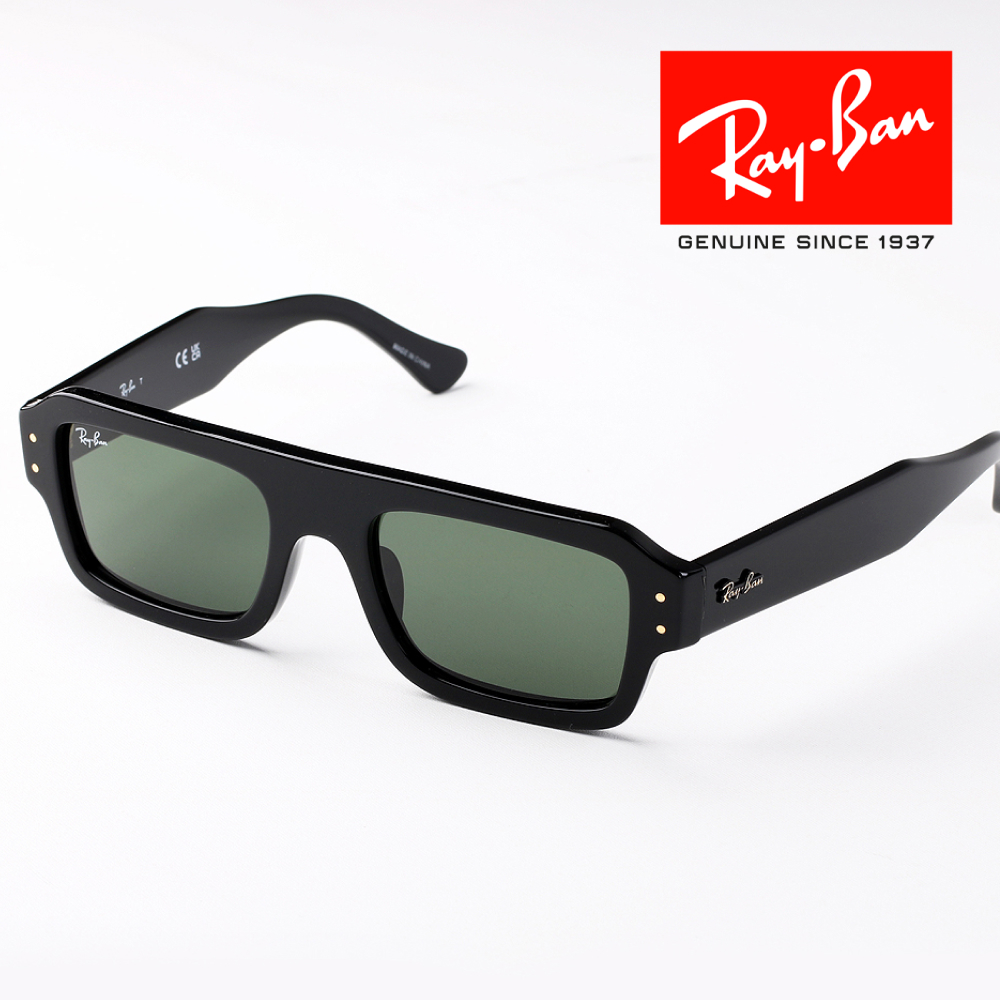 레이밴 볼드 템플 메가 선글라스 RB2289 RB0316S RB0840SF RB4454F 이미지 7