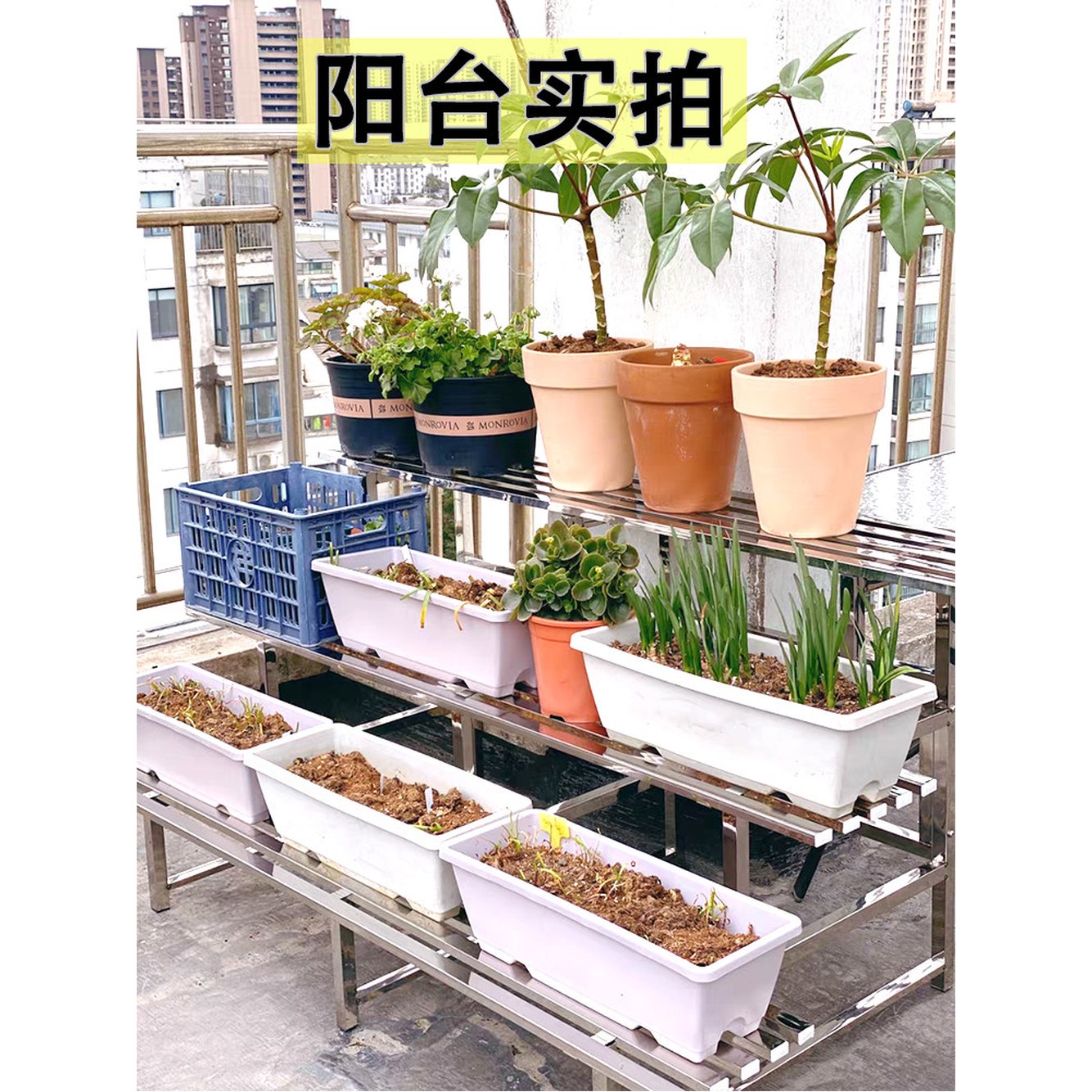 계단식 진열대 2단 베란다 스테인리스 3단 화분선반 80cm 두꺼워짐 다육이 거치대 다이 철재 정리대 3다리 두꺼워짐 2단 80cm - 상세 이미지 2