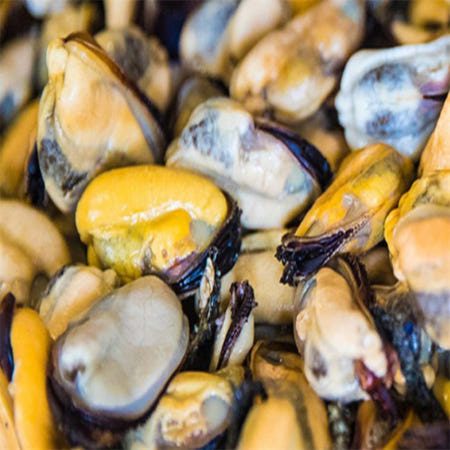 [맛] 남해 깔끔손질 자숙 홍합살 1kg 자숙홍합 짬뽕 시원한맛