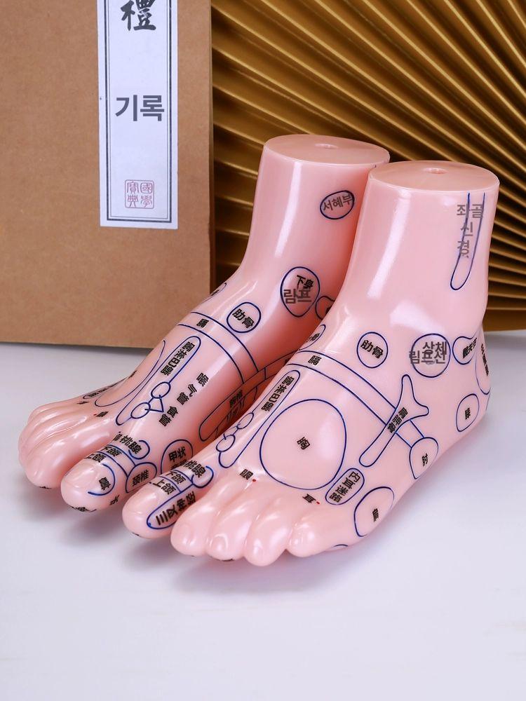 모형 지압표 마네킹 인체 점혈 교습 발반사구 발마사지 15cm+삼각형 마사지 스틱 - 상세 이미지 4