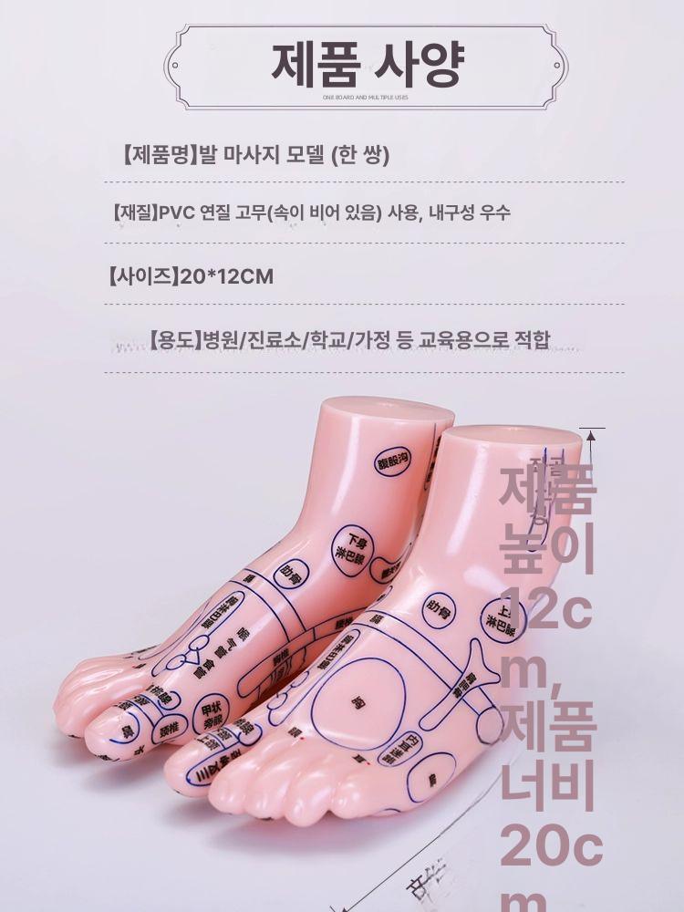 모형 지압표 마네킹 인체 점혈 교습 발반사구 발마사지 15cm+삼각형 마사지 스틱 - 상세 이미지 2