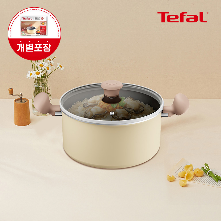 [옵션] 테팔 인덕션 티타늄 1X 데이지 양수냄비 20cm - 상품 이미지
