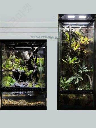 [해외]비바리움 테라리움키트 이끼 팔루다리움 만들기 키트 키우기 DIY 화분 취미 양서류 1 30x30x35 단일문