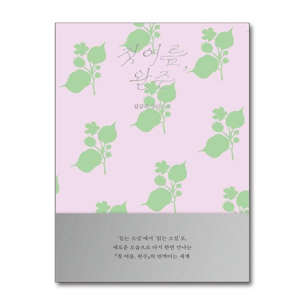 첫 여름 완주 읽는 소설 - 읽는 소설 개정판 제품 이미지