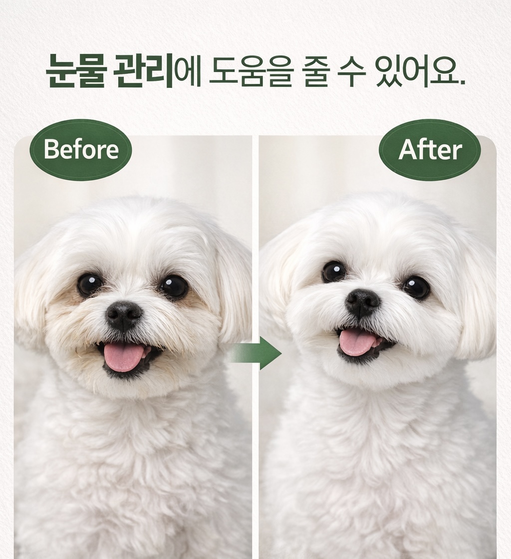 배부루다 수제 강아지 사료 프리미엄 가수분해 알러지 피부 눈 연어+소, 1kg, 1개 이미지 3