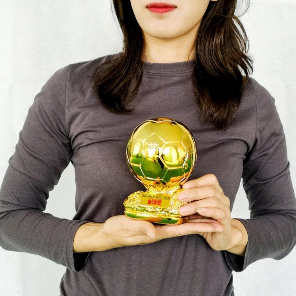 축구트로피 기념품 우승 기념패 상패 트로피 기념품 인테리어 우승패 축구 장식 조기축구회 시상 - 상세 이미지 3