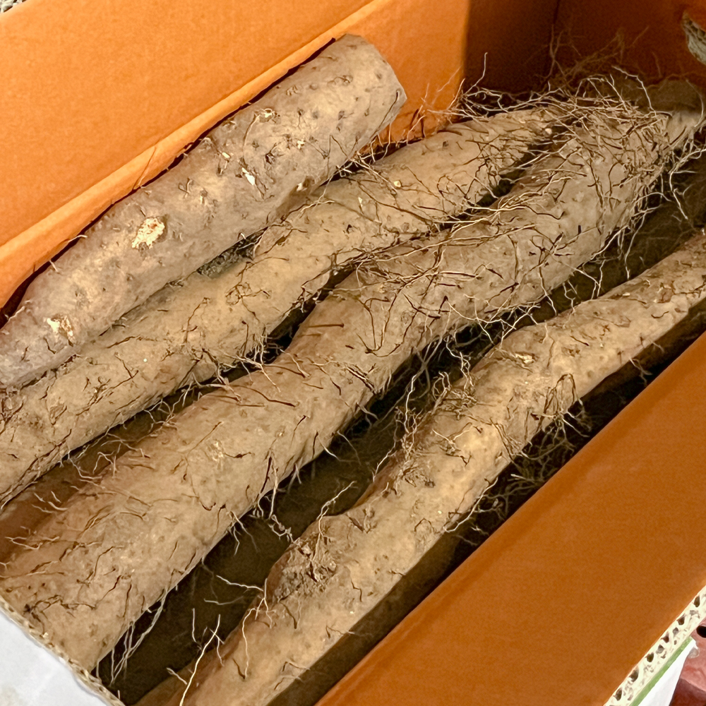 국내산 안동마 생마 산지직송 알뜰 중품 특품 1kg - 상품 이미지