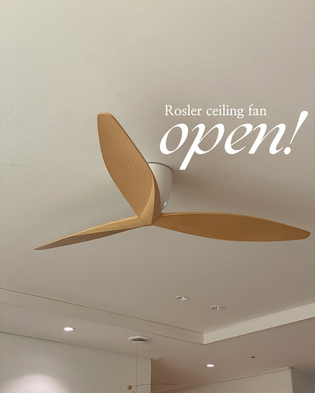 로슬러 노블리프 실링팬 프리미엄 라인