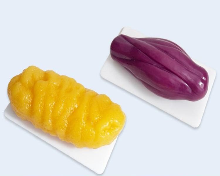 지방모형 지방덩어리 피트니스 헬스 교육 실리콘 피하 인체 1kg 1kg 지방 디스플레이보드포함 - 상품 이미지