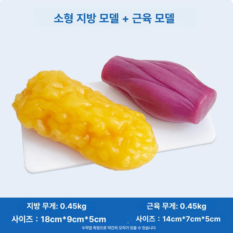 지방모형 지방덩어리 피트니스 헬스 교육 실리콘 피하 인체 1kg 1kg 지방 디스플레이보드포함 - 상세 이미지 3