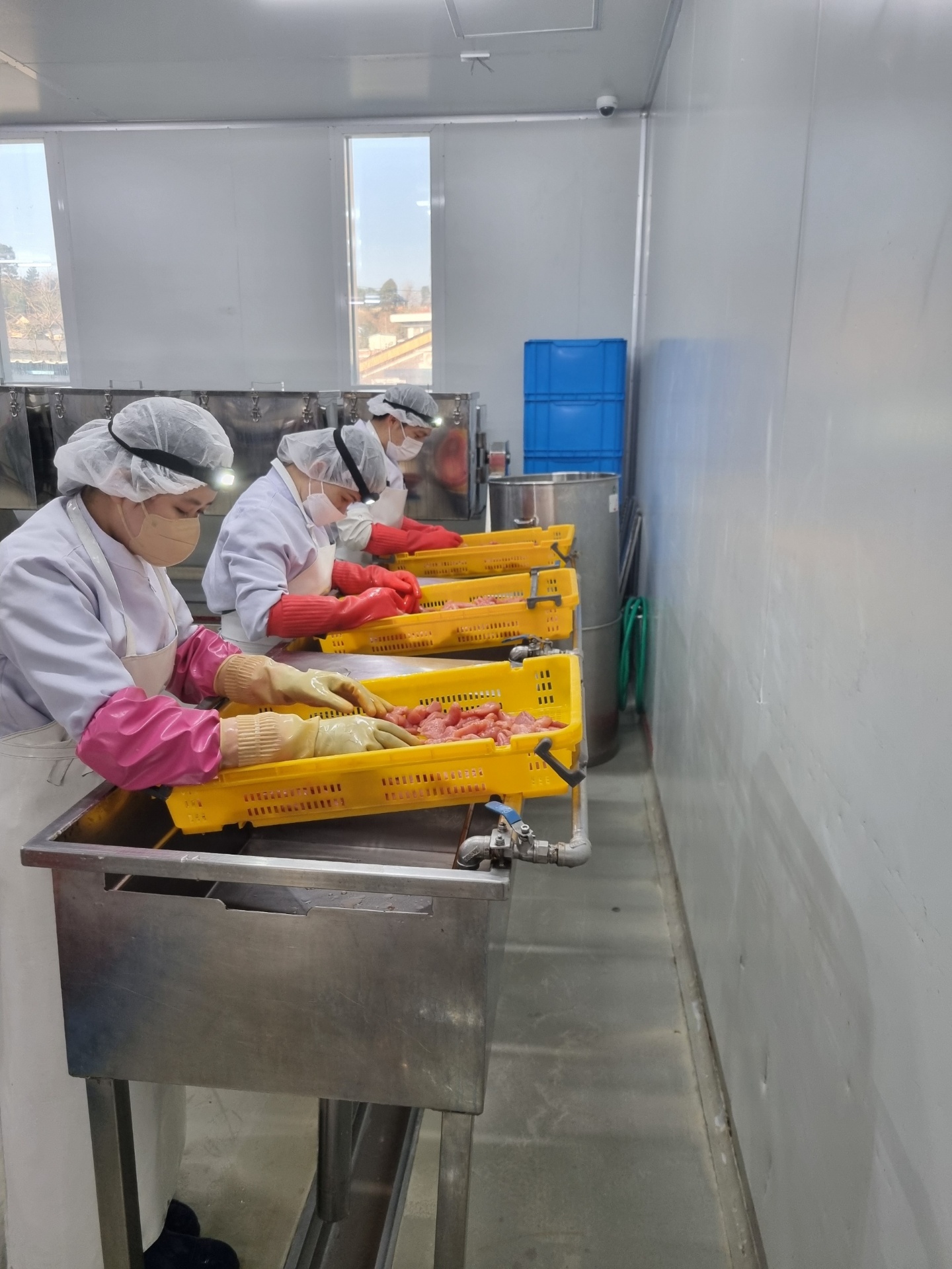 강경예리미네 백명란파지 젓갈 250g 500g - 상세 이미지 5