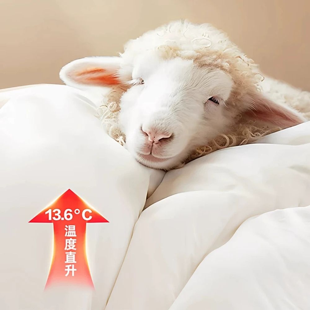 파셀몰 이불겨울 따뜻한 양털 호텔 포근한 담요 A. A등급 울 이불 문라이트 화이트 품질 , A. 150x200cm 봄 가을 이불 무게 약 - 상세 이미지 4