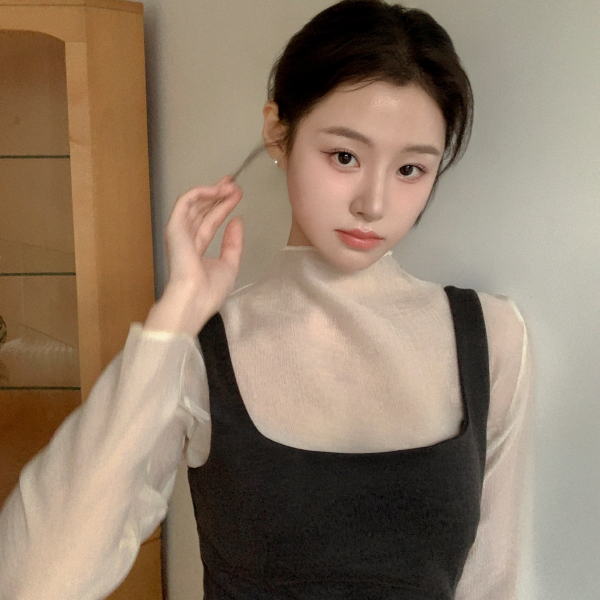 시스루 반하이넥 블라우스 bs8589 제품 이미지