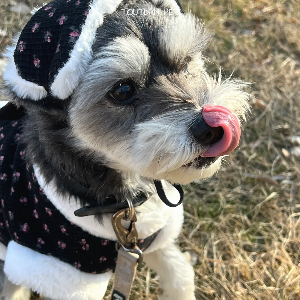 뚜담펫 강아지겨울한복 강아지 고양이 한복 케이프 - 상세 이미지 5