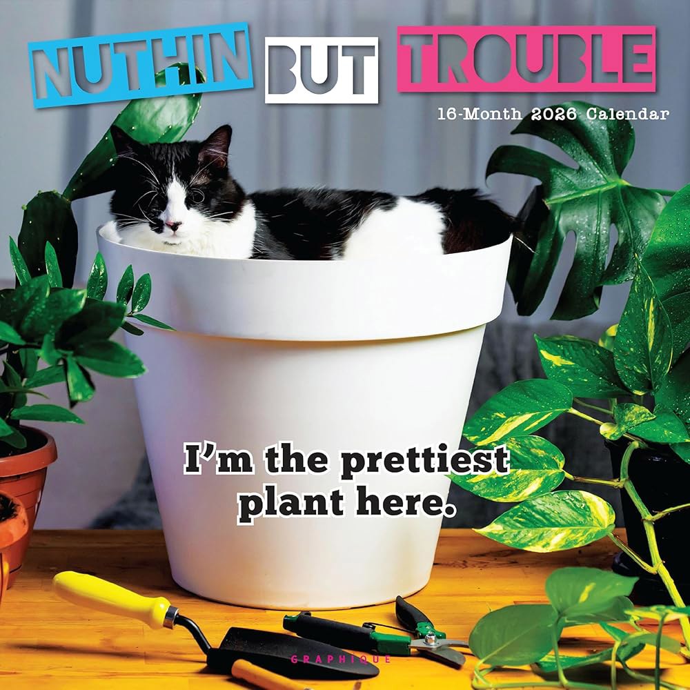 Graphique 2026 Nuthin But Trouble 2027년 페이지 언어 휴일 벽 12인치) 30.5cm 종이 대형 표시된 정리함 보기 3가지 4개월 미리 그리드 x - 상품 이미지