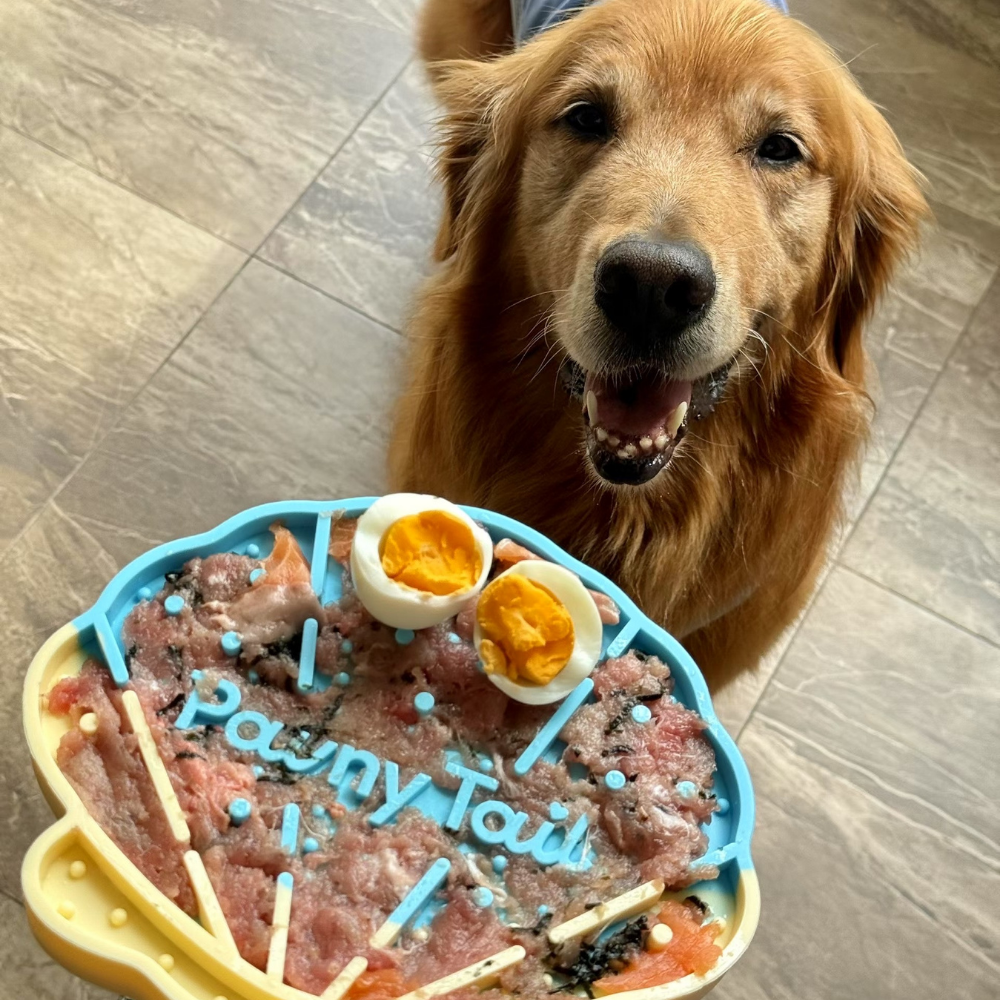 뽀뽀쉘 실리콘 슬로우 식기 강아지밥그릇 양면 고양이 물그릇