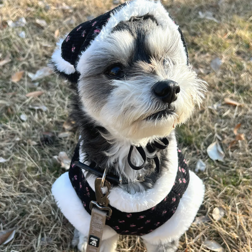 뚜담펫 강아지겨울한복 강아지 고양이 한복 케이프 - 상세 이미지 2