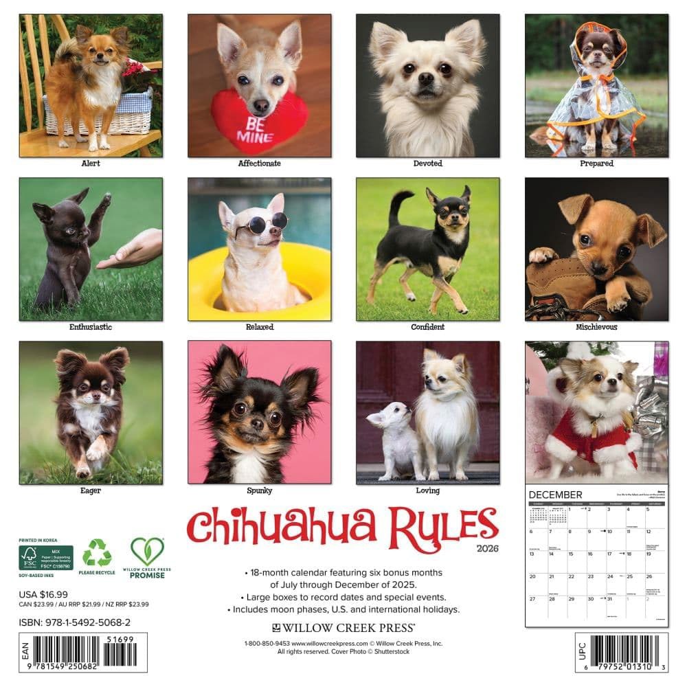 Chihuahua Rules 2026 30.5cm x 12인치) 30.5cm(12인치 벽 달력 - 상세 이미지 2