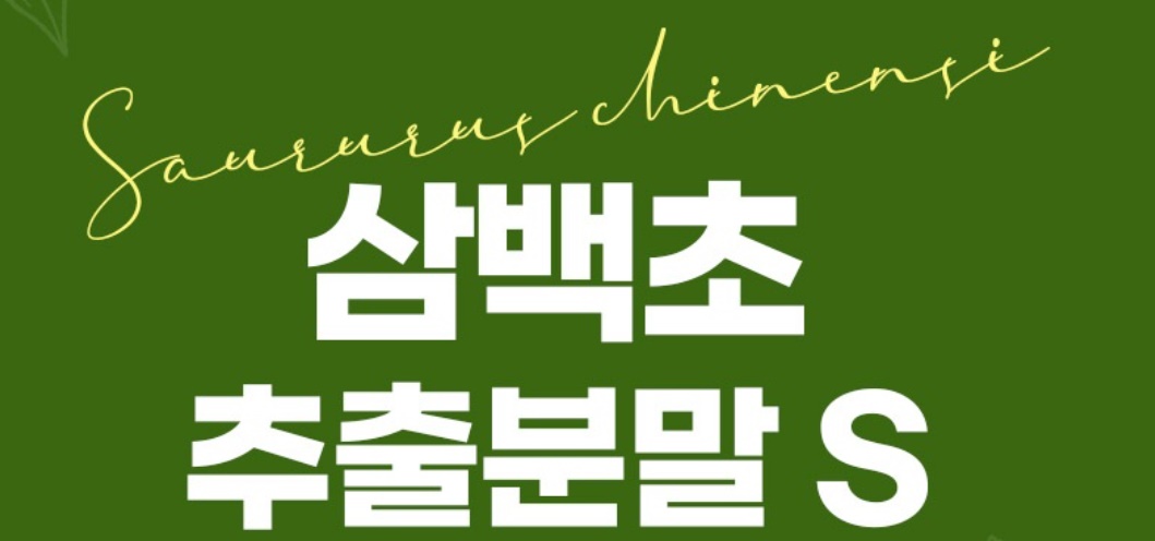 삼백초 분말 삼백초가루 200g 3개 - 상세 이미지 2