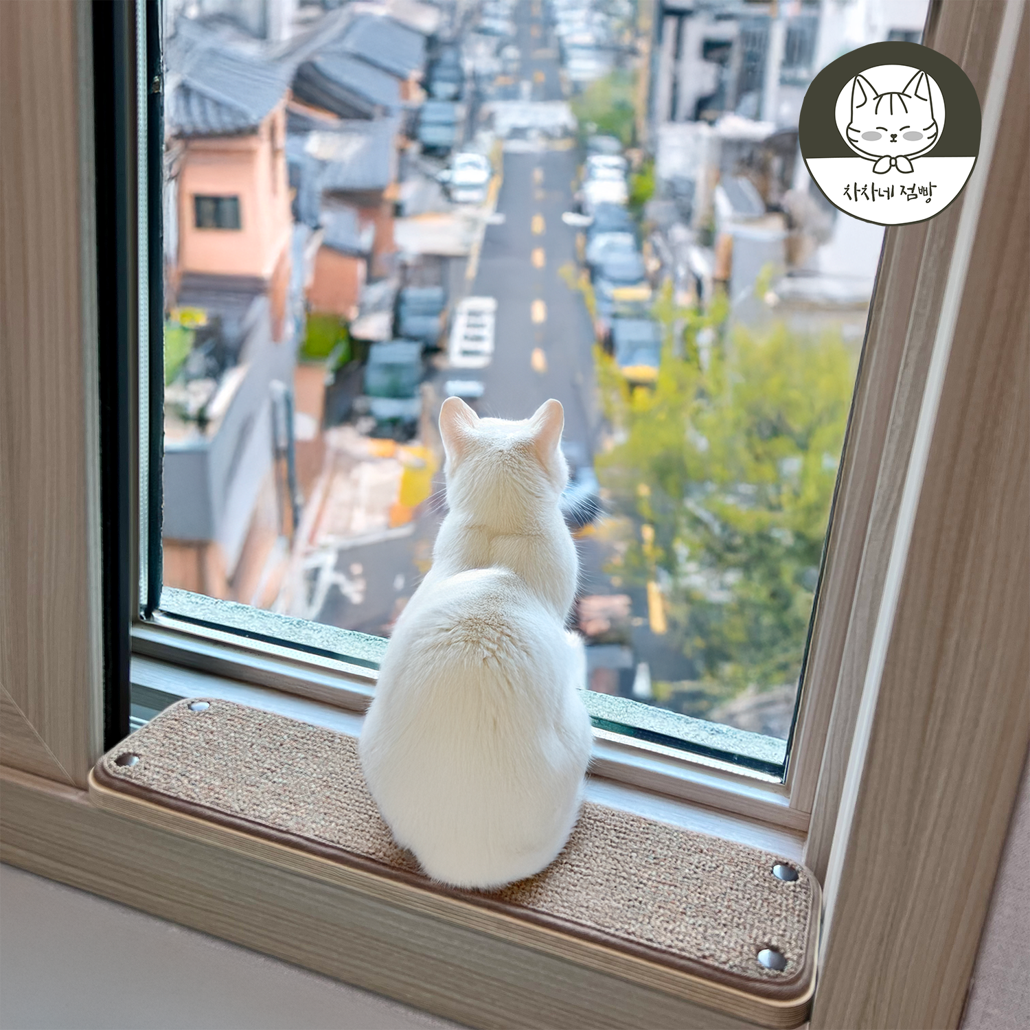 우성레포츠