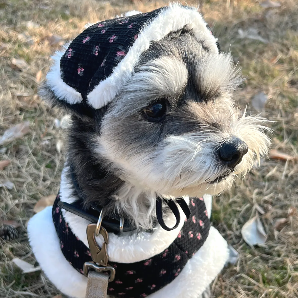 뚜담펫 강아지겨울한복 강아지 고양이 한복 케이프 - 상품 이미지