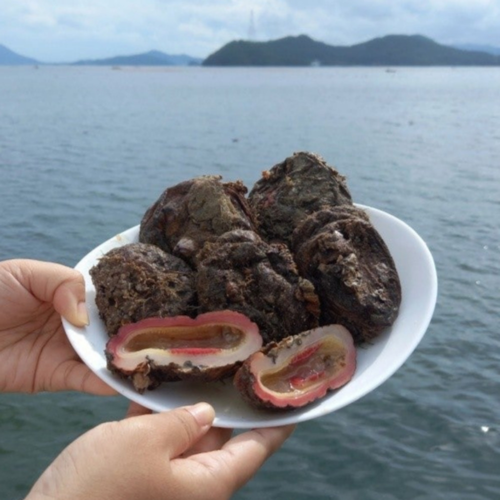 통영 자연산 활 꽃멍게 돌멍게 해녀 손질 - 상품 이미지