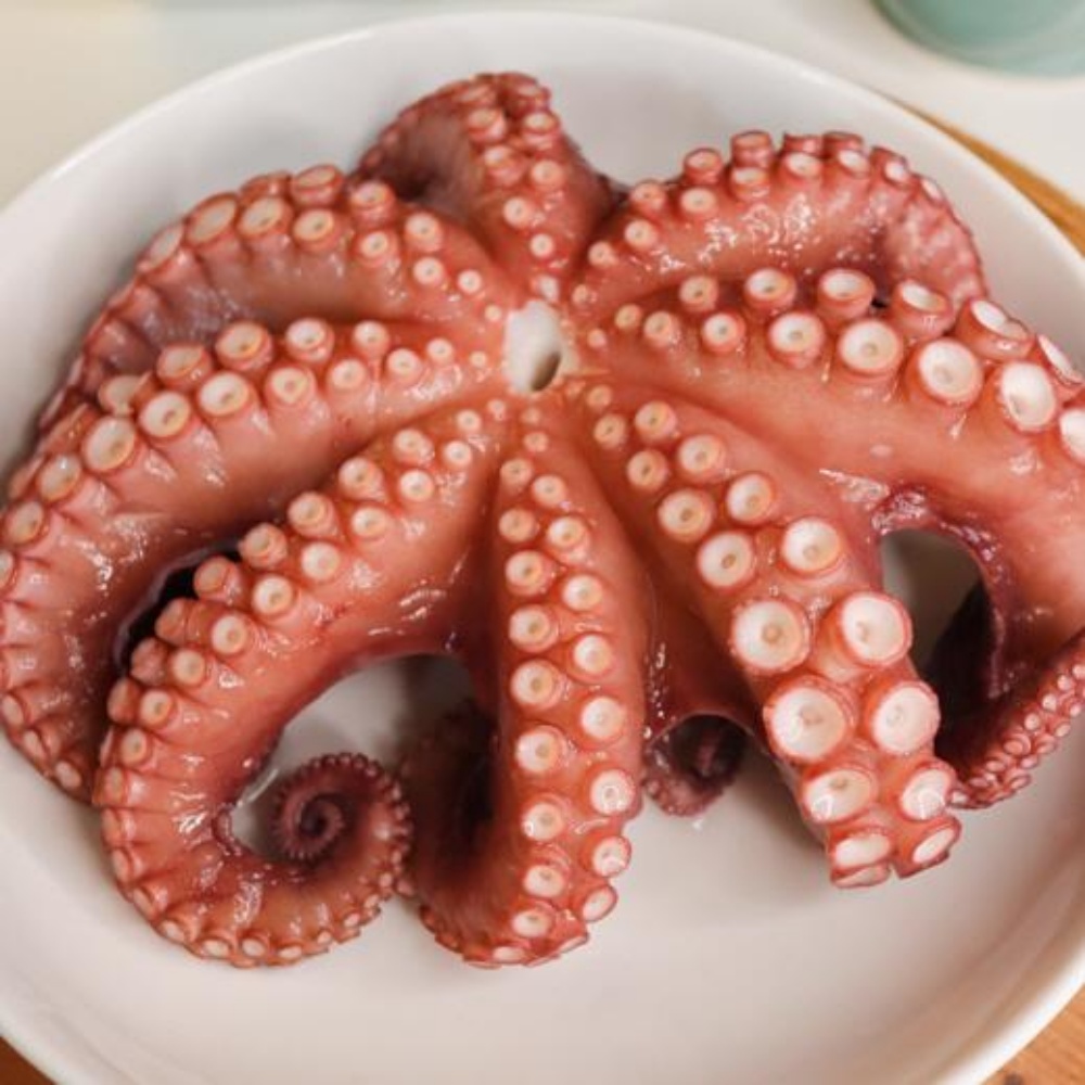피문어 자숙 문어 활문어 참문어 동해 속초 자연산 대문어 제수용 포항 숙회 강원도 1kg - 상품 이미지