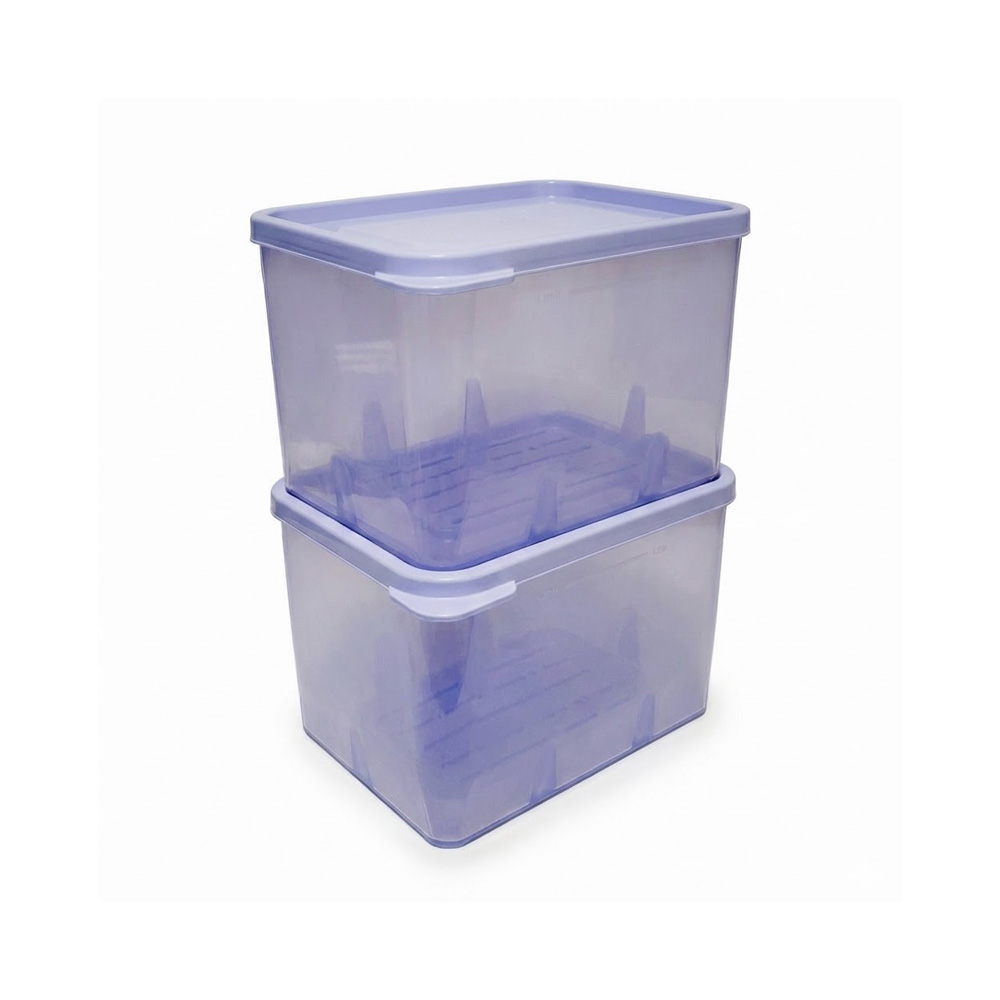 냉장고 냉동실 정리용기 냉동 밥 국 소분 보관용기 700ml, 2개 - 상품 이미지