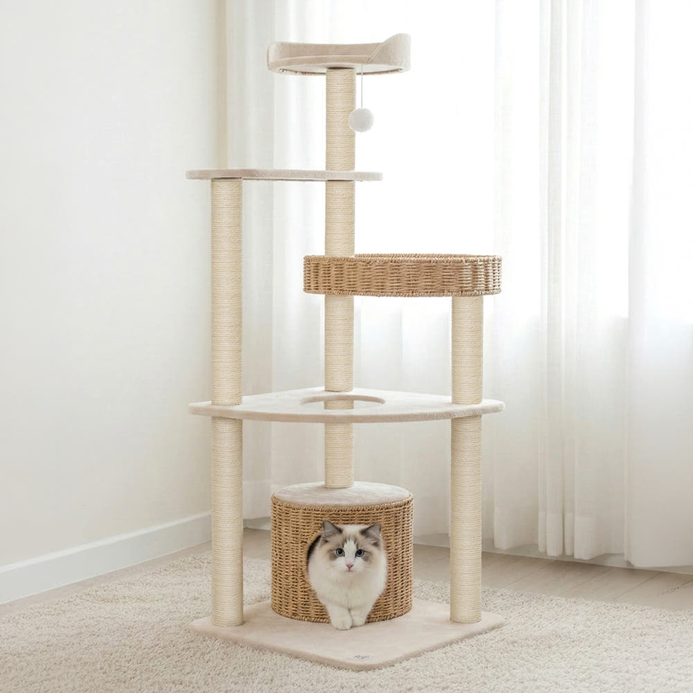 레토 라탄 캣타워